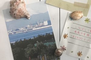 スタッフ制作!貝がらマグネット
