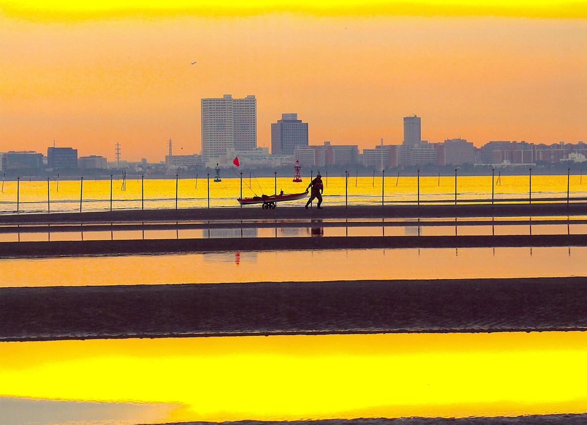 干潟の夕景色