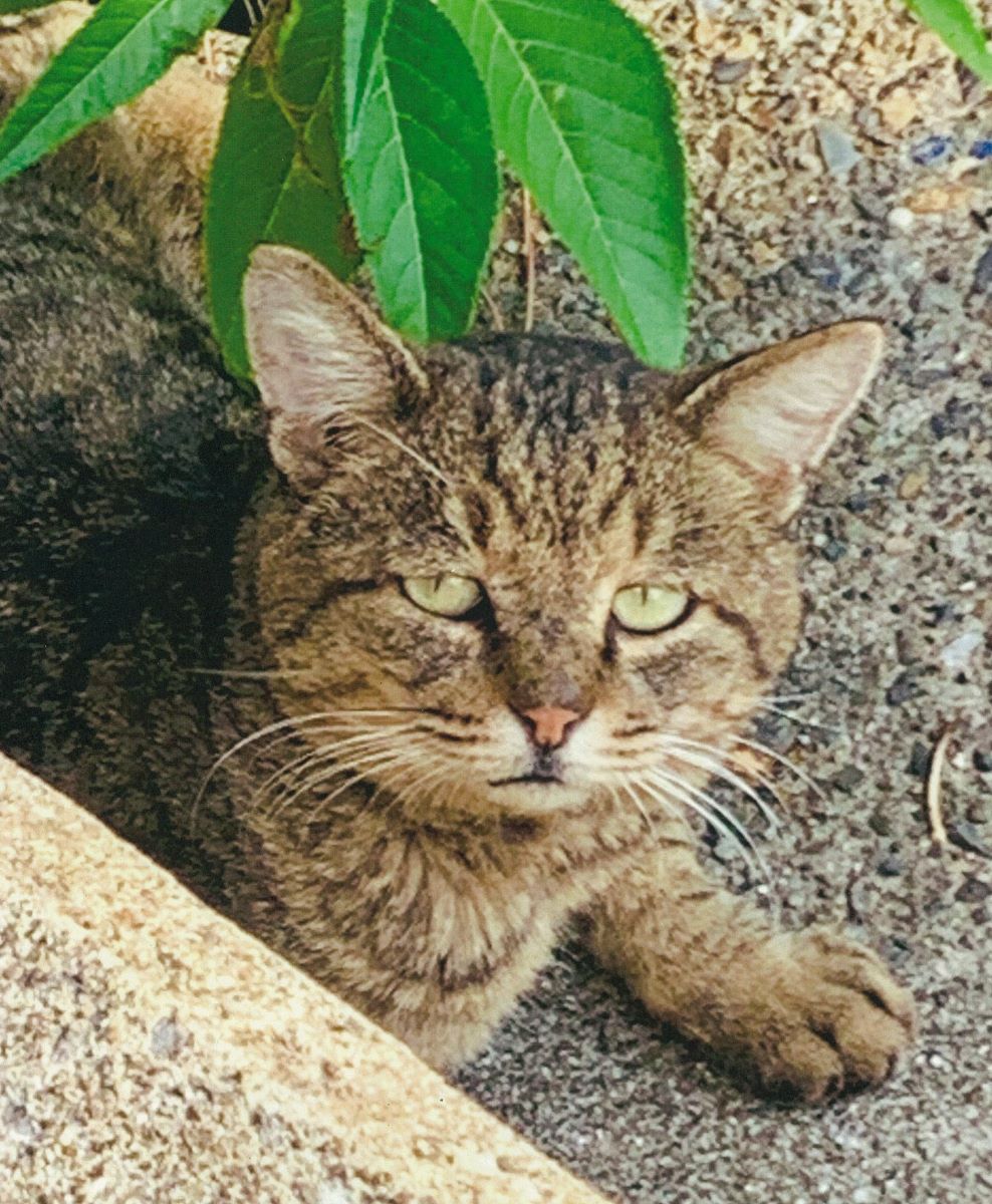 護岸で生きる