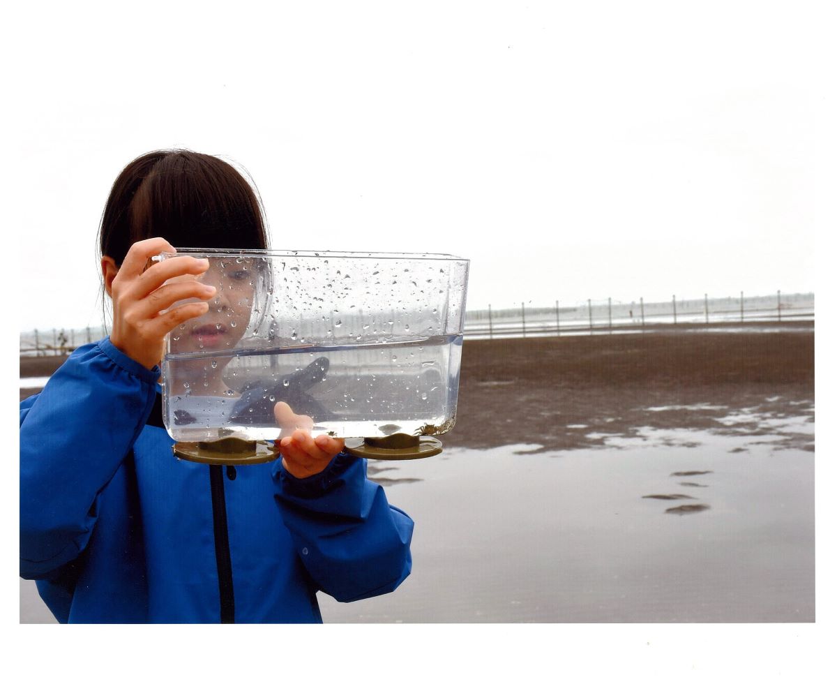 小さな生き物