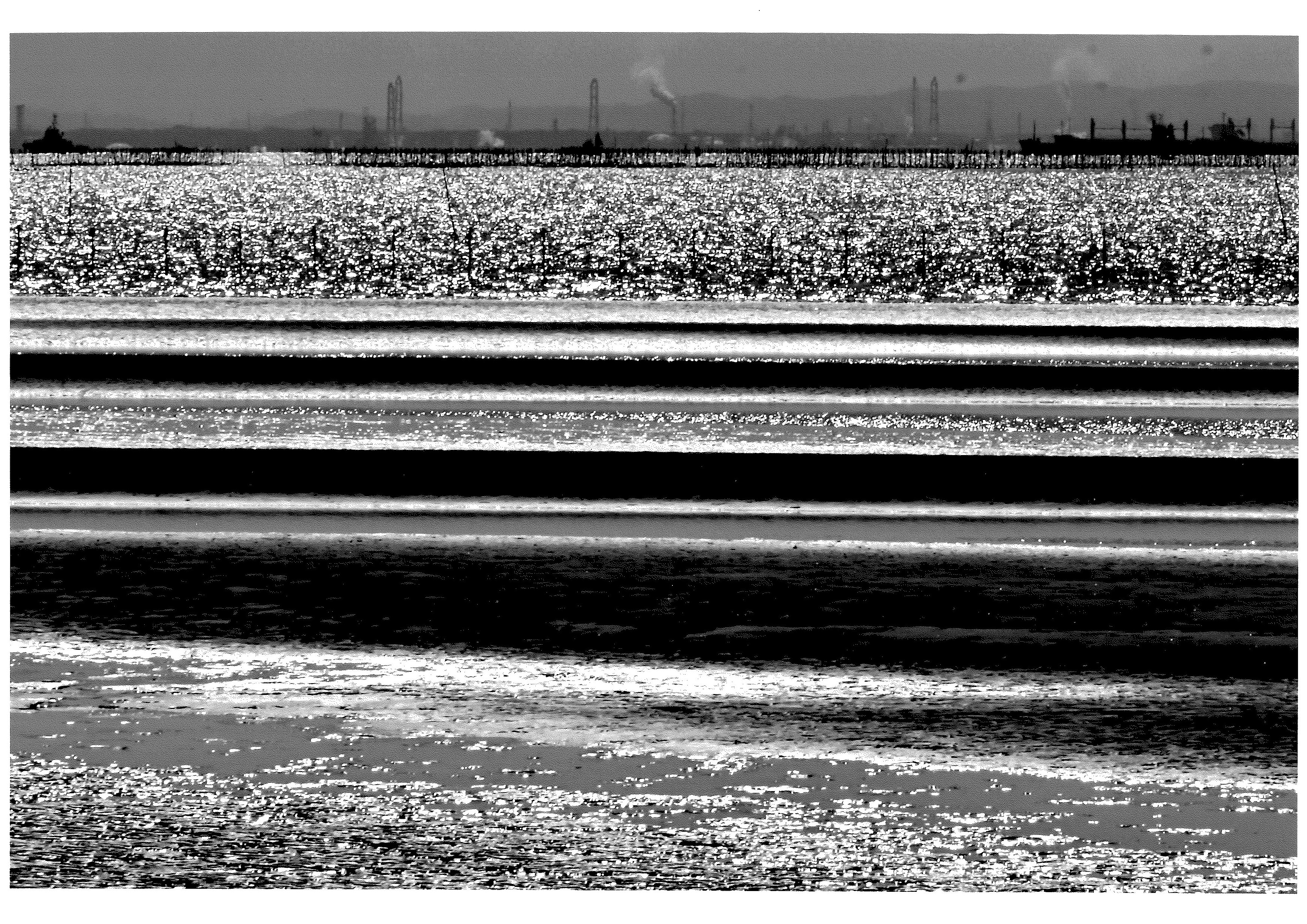 小杉 健次郎さん「ミルフィーユみたいな」