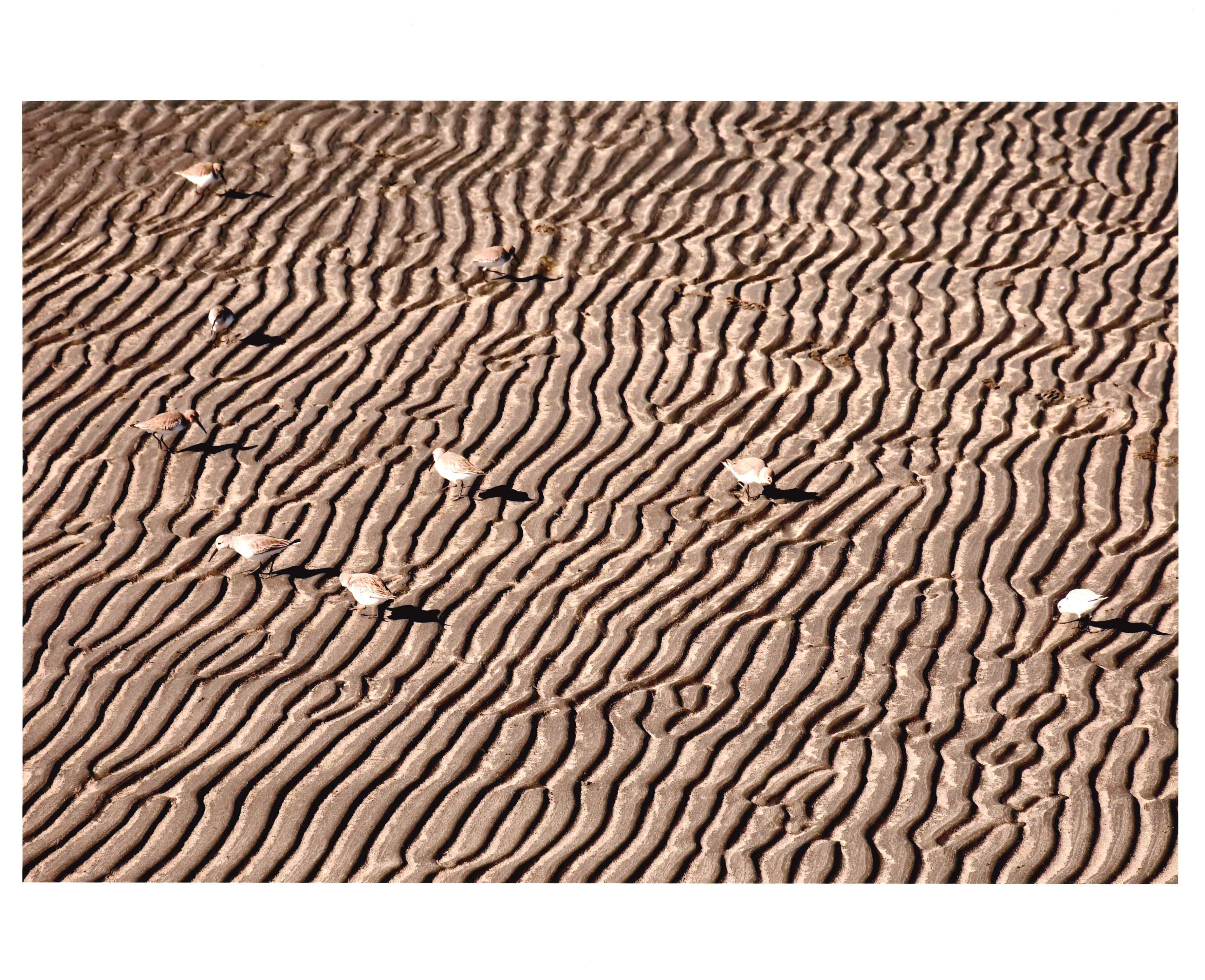 関矢 俊夫さん「干潟模様」