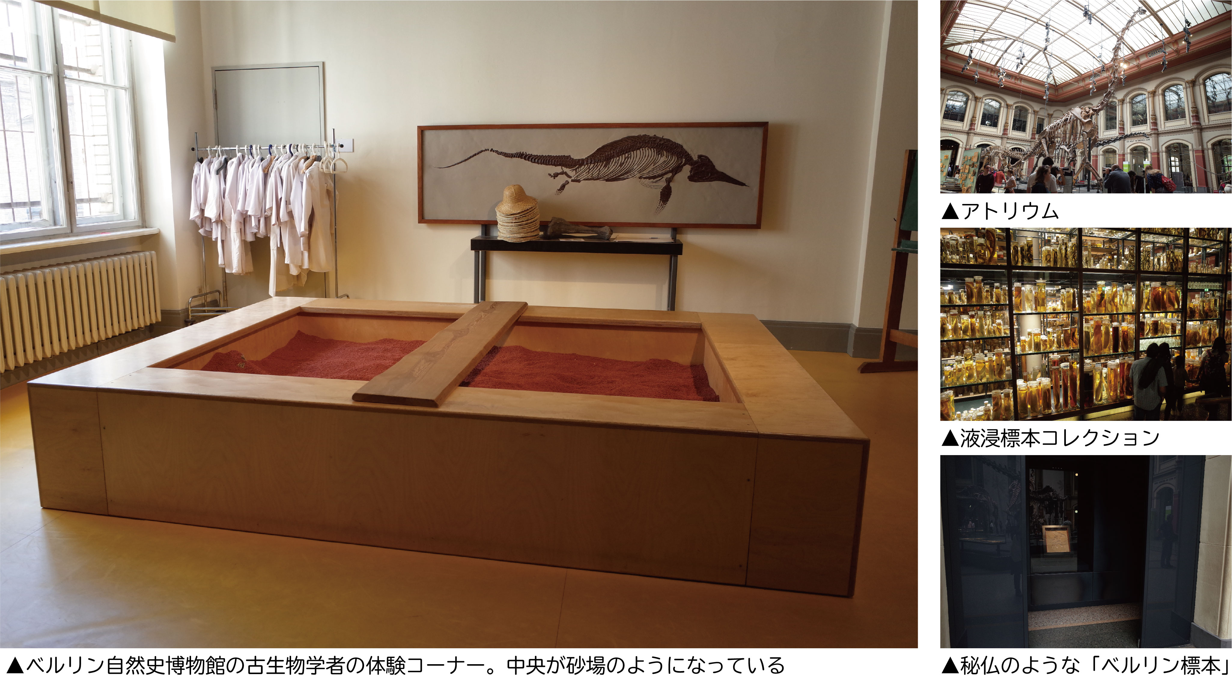 すなふ様専用ページ さはわる様専用ページ 不味