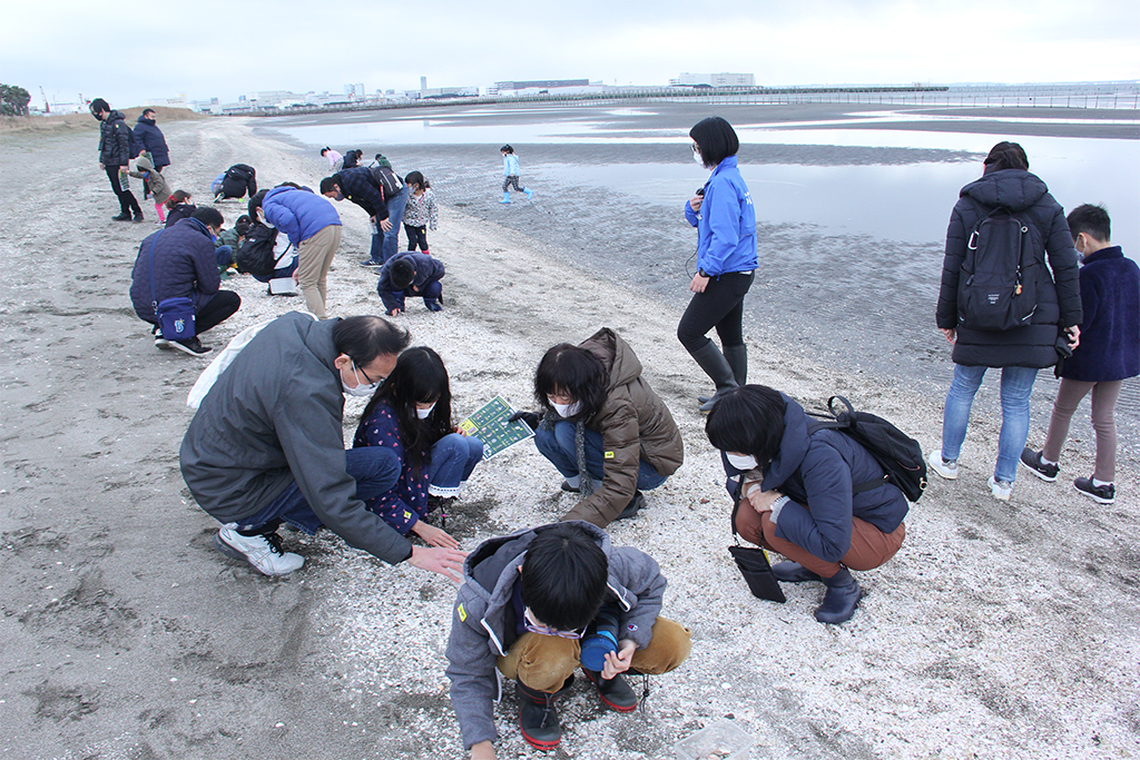 砂浜で貝を拾い集める写真