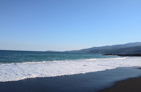 太平洋を臨む砂浜の写真