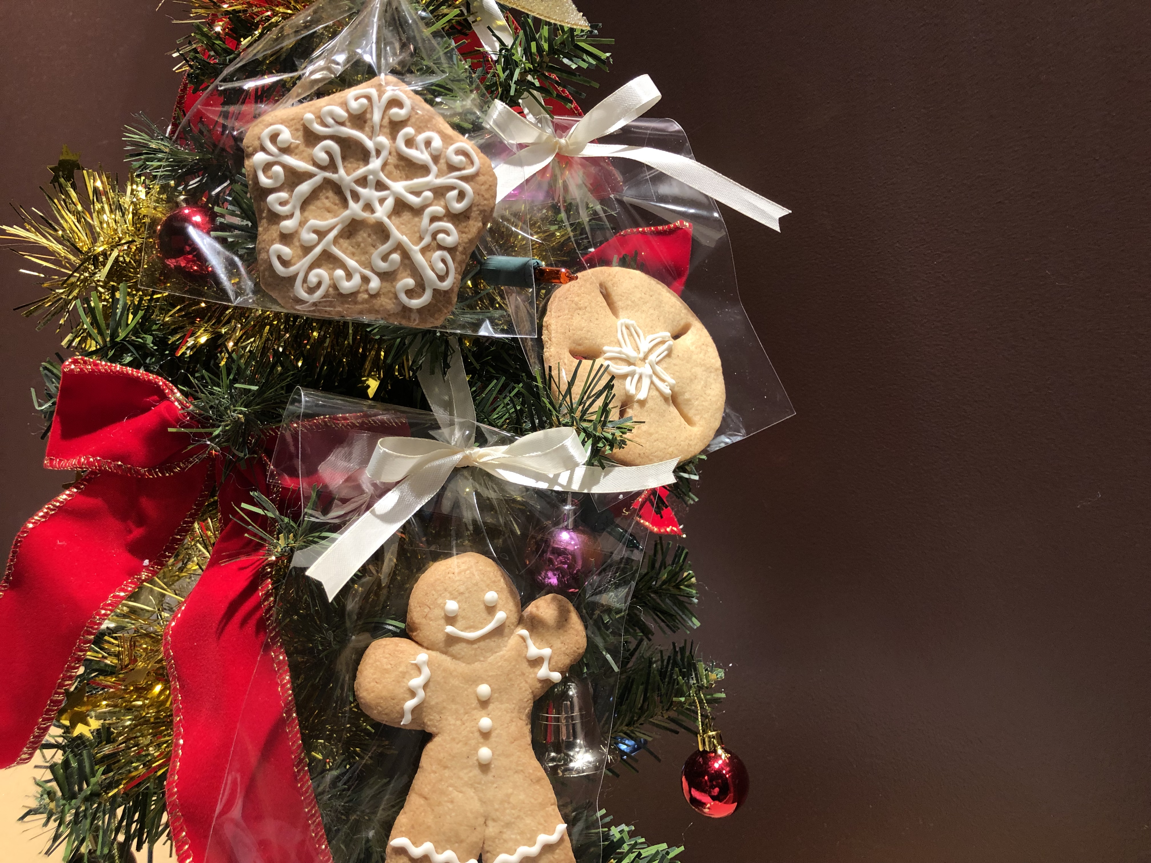 クリスマスおかしなお菓子作り「ジンジャークッキー」｜ふなばし三番瀬