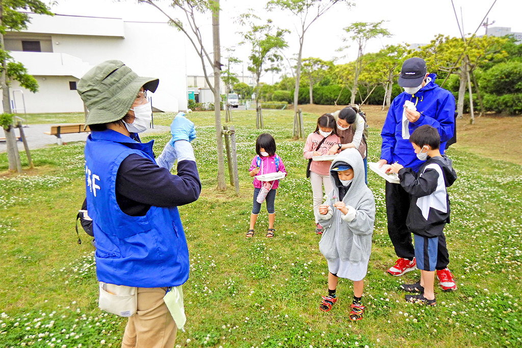 三番瀬探検隊「浜辺の植物を探そう」