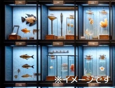 浅海生物標本室