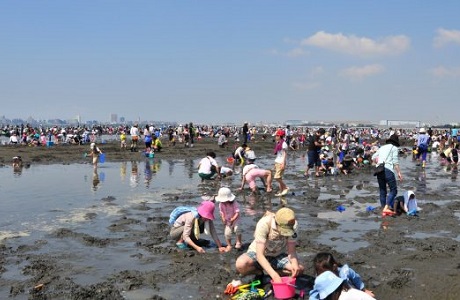 shellfish gathering