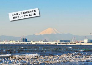 2018年カレンダー表紙