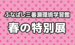 春の特別展「ドキドキ!! ひがた大迷路Ｒ」