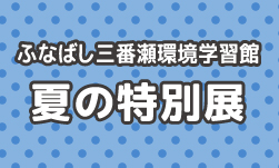 海を食べる