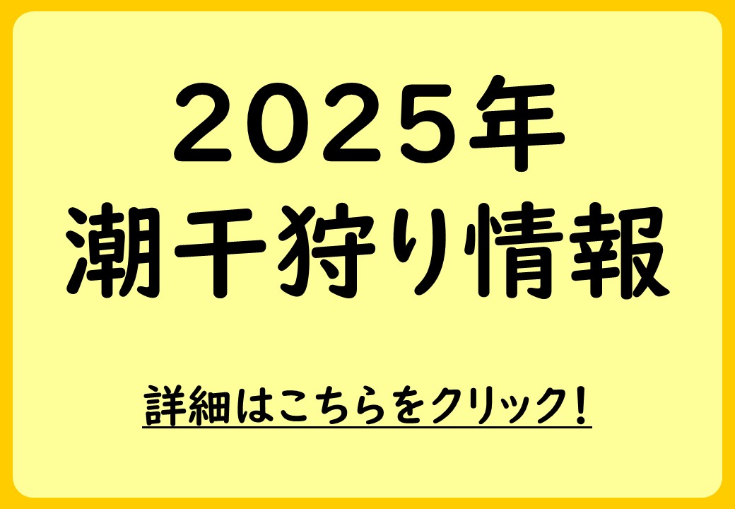 潮干狩り情報2025