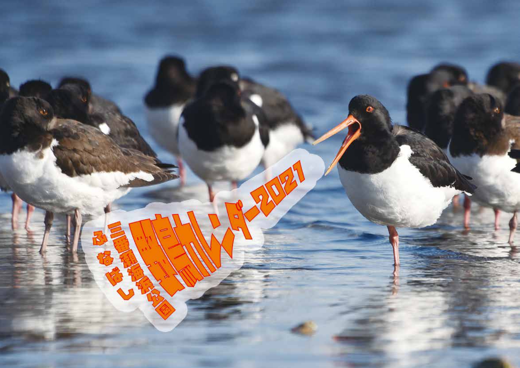 野鳥カレンダー2021表紙