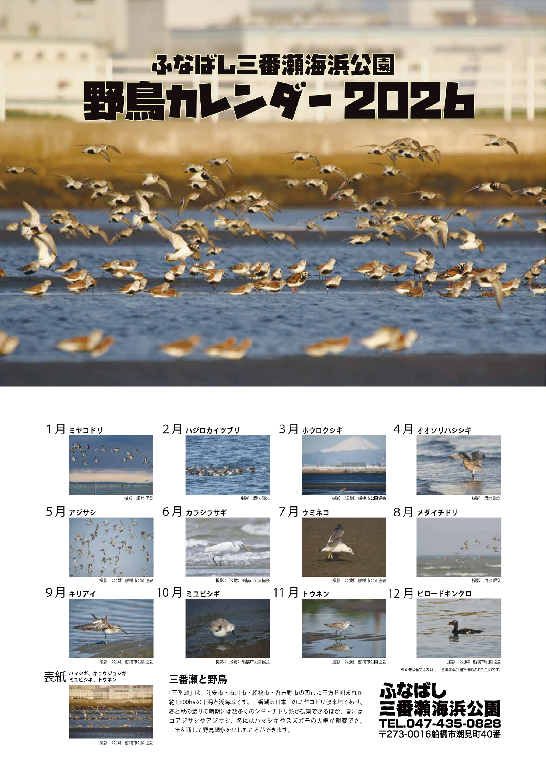 カレンダー画像